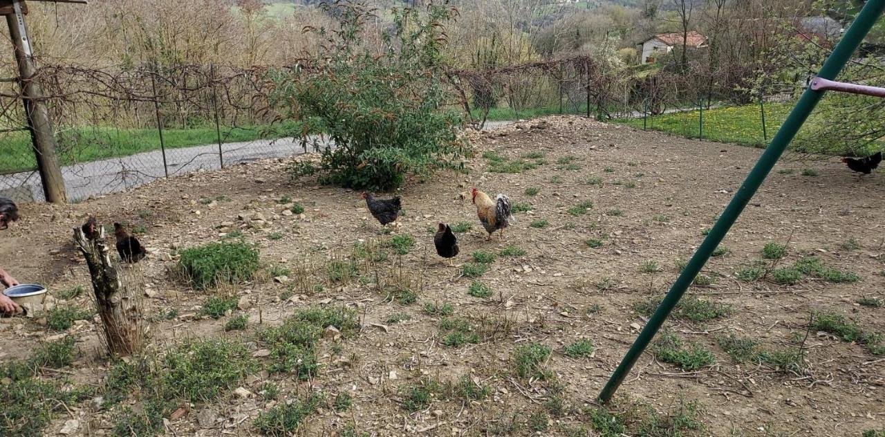 Au Chalet D'Anna Saint-Rambert-en-Bugey المظهر الخارجي الصورة