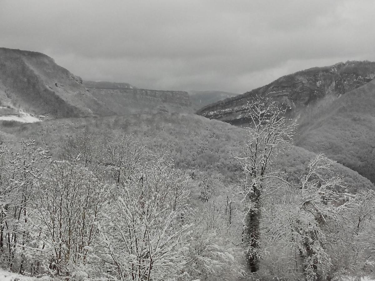 Au Chalet D'Anna Saint-Rambert-en-Bugey المظهر الخارجي الصورة